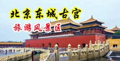 狂操日本荡妇中国北京-东城古宫旅游风景区