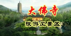 给我午夜强奸美小护士三级片中国浙江-新昌大佛寺旅游风景区